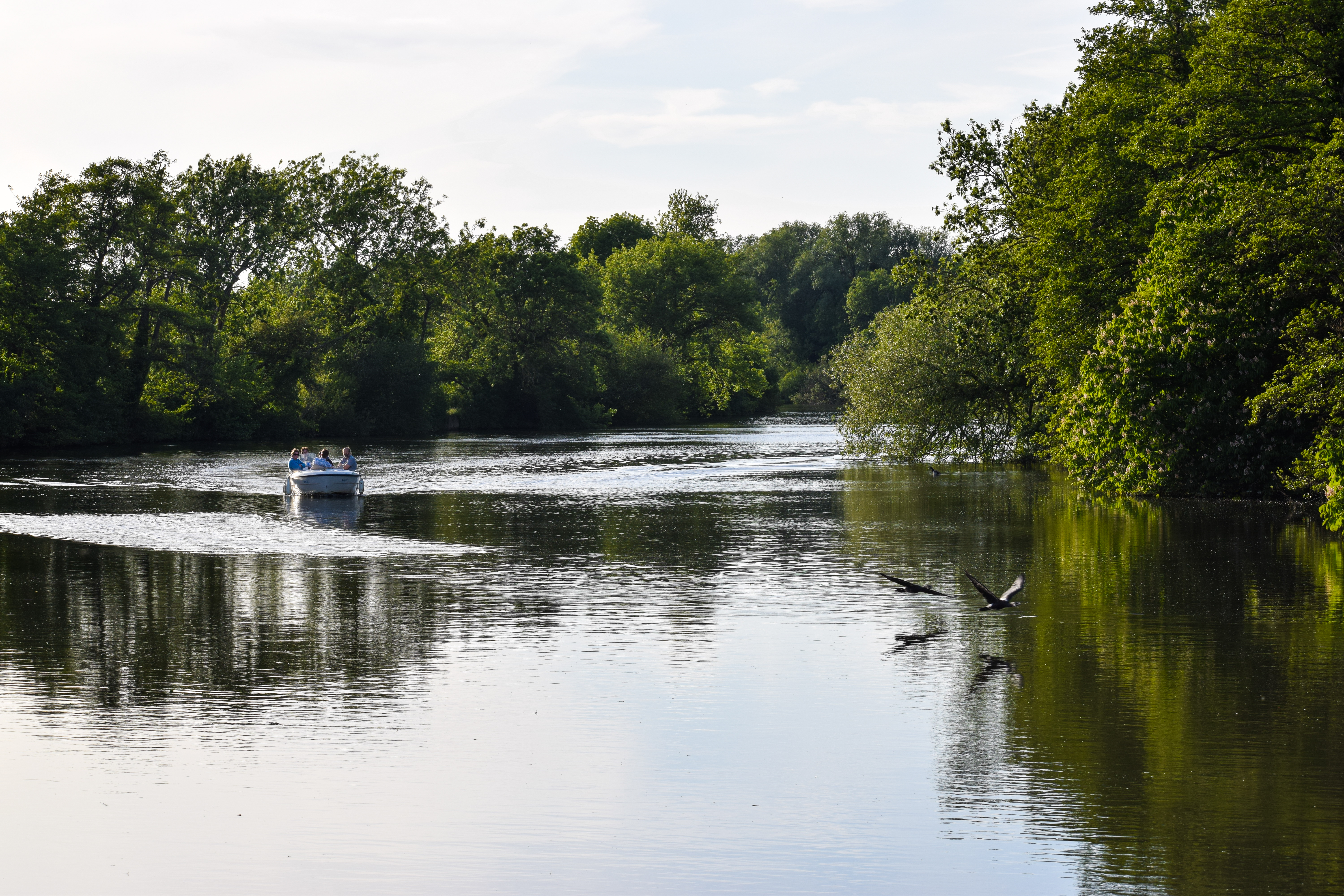 In-person tuition in Surrey with expert tutors