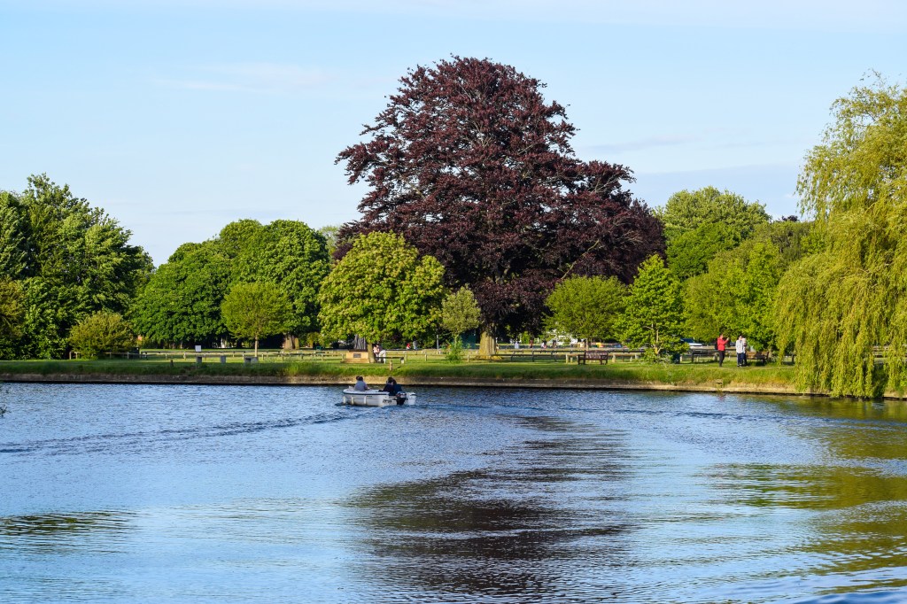 Private Tuition Services in Egham